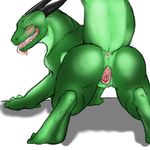  anus blush butt digitigrade dragon female feral gaping gaping_pussy horn kallus plain_background presenting presenting_hindquarters pussy raised_tail scalie solo thick_tail tongue tongue_out white_background 