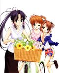  ;) artist_request bangs bangs_pinned_back bare_legs basket bicycle bicycle_basket black_footwear black_skirt blouse brown_eyes brown_hair choker collarbone dress eyelashes flag_print flower frills gingham gingham_dress ground_vehicle hair_ornament hair_ribbon hairclip haruka_(sister_princess) highres hinako_(sister_princess) multiple_girls off_shoulder one_eye_closed parted_lips plant ponytail print_shorts print_skirt purple_eyes purple_hair ribbon riding shoes short_sleeves short_twintails shorts siblings sidelocks simple_background sister_princess sisters skirt sleeveless sleeveless_dress smile sunflower swept_bangs tress_ribbon twintails union_jack white_background white_blouse yotsuba_(sister_princess) 