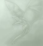  ambiguous_gender dragon feral horn kallus monochrome scalie solo wings 