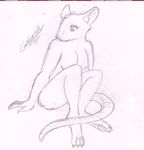  breasts female glacierfrost mammal monochrome mouse nude rodent sitting sketch solo 