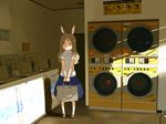  animal_ears bad_id bad_pixiv_id bag blush copyright_request deer_ears holding laundromat light_brown_hair matsuda_kouta realistic sandals scenery shirt skirt sunlight washing_machine 