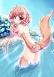  ahoge animal_ears brown_hair cat_ears cat_paws cat_tail commentary_request long_hair looking_at_viewer monster_girl nude original paws red_eyes river sasakuma_kyouta skinny_dipping solo tail wading water 