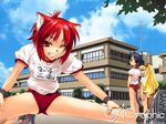  animal_ears buruma cat_ears gagraphic gym_uniform hiyohiyo multiple_girls one_eye_closed red_eyes red_hair stretch tail track_and_field wallpaper watermark 