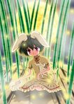  animal_ears bamboo black_hair bunny bunny_ears dress full_moon highres inaba_tewi moon red_eyes ribbon short_hair sitting solo touhou usakou 