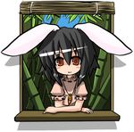  animal_ears artist_request bamboo bamboo_forest black_hair bunny_ears carrot chibi forest inaba_tewi nature short_hair solo touhou 