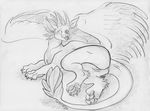  anus black_and_white dragon female feral horn kaputotter lying monochrome on_side one_eye_closed pussy sketch solo wings 
