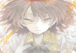  brown_hair drawr looking_at_viewer oekaki sham00 shameimaru_aya short_hair solo touhou yellow_eyes 