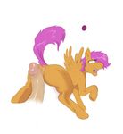  cub equine female feral friendship_is_magic horse male mammal my_little_pony pegasus penis pony ponyparty pussy rubbing scootaloo_(mlp) wings young 