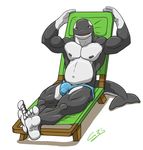  anthro bulge cetacean chestnuts_(artist) darwen darwentheorca hindpaw human_feet looking_at_viewer male mammal marine muscles orca paws penis plain_background pose solo speedo swimsuit toes underwear whale white_background 
