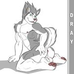  aaron anthro anus balls butt canine dog looking_at_viewer male mammal muscles pose solo spread_legs spreading 