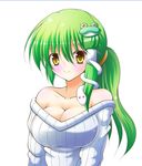  alternate_hairstyle bare_shoulders breasts cleavage colorized frog_hair_ornament green_hair hair_ornament kochiya_sanae large_breasts long_hair osashin_(osada) ribbed_sweater smile snake solo sweater touhou yellow_eyes 