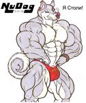  canine dog looking_at_viewer male mammal muscles nudog pose solo speedo swimsuit underwear 