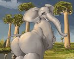  2011 anus big_butt butt chubby elephant female huge_butt javanshir looking_at_viewer looking_back mammal solo trunk tusks 