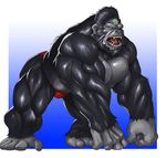  ape biceps big_muscles drooling echin fur gor_(tomcat) gorilla huge_muscles male mammal muscles pecs pose primate saliva solo speedo swimsuit thong topless underwear 