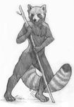  balls idess male mammal nude polearm red_panda sheath sketch solo staff 