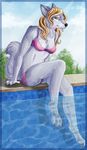  bikini blonde_hair canine clothed clothing female hair keshikins looking_at_viewer mammal pool sitting skimpy solo swimsuit water wolf 