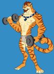  2019 abs anthro biceps chirenbo clothed clothing digital_media_(artwork) dumbbell exercise feline fur hair hi_res male mammal muscular muscular_male nipples pantherine pecs simple_background solo tiger topless weightlifting weights workout 
