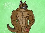  abs anthro balls biceps big_muscles canine dog fangs german_shepherd invalid_tag male mammal muscles nipples nude pecs penis pose smile solo teeth unknown_artist vein veins wulfer_(character) 