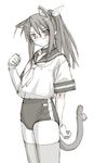  animal_ears blush buruma cat_ears glasses greyscale hasegawa_chisame kasuga_yukihito mahou_sensei_negima! monochrome ponytail school_uniform serafuku sketch solo thighhighs 