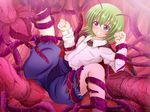  blue_eyes blush female green_hair highres tentacle tentacle_pit touhou wriggle_nightbug 