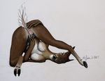  alsem anus breasts cervine deer female hooves mammal nude pussy solo spreading upside_down 