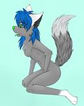  breasts canine cute female fingering green_eyes hair kneeling mammal masturbation nude plain_background solo sorrel sorrel-wolf tongue tongue_out wolf 