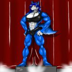  belt biceps big_breasts blue_fur blue_hair breasts brown_eyes canine clothed clothing female fur hair hopey invalid_tag mammal muscles muscular_female pouch skimpy smile solo stage unknown_artist wolf wolfess 