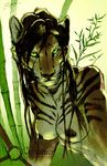  black_hair breasts catwarrior feline female green_eyes hair long_hair looking_at_viewer mammal nipples solo stripes tiger 