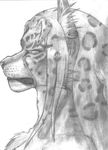  2012 ambiguous_gender ear_piercing feline female frostwyrm102 mammal monochrome piercing portrait solo 