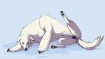  anatomically_correct_pussy animal_genitalia avatar:_legend_of_korra bear canine canine_pussy claws dog female feral hybrid maim mammal naga naga_(character) paws plain_background polar_bear polarbear_dog pussy solo 