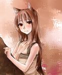  animal_ears brown_eyes brown_hair danann holo long_hair solo spice_and_wolf wolf_ears 