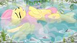  blush cutie_mark equine eyes_closed female feral fluttershy_(mlp) friendship_is_magic hair hot_spring jungleanimal junglepony mammal my_little_pony pegasus pink_hair solo steam sweat water wings 