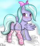  butt cloud cutie_mark equine female feral flitter_(mlp) freefraq friendship_is_magic horse invalid_tag looking_back mammal my_little_pony pegasus pony socks wings 