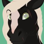  2018 ambiguous_form apollo_(apollo13) black_fur digital_media_(artwork) equine eyebrows eyebrows_visible_through_hair fur green_background green_eyes hair headshot_portrait hi_res horse long_hair looking_at_viewer male mammal portrait simple_background smile solo white_fur white_hair xblueashesx 