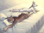  anthro anubian_jackal bed breasts canine duo eyes_closed female fur jackal lying male mammal merystic on_front side_boob sleeping white_fur wolf 