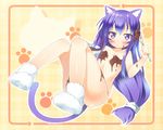  acchi_kocchi animal_ears ichi_makoto tail tsumiki_miniwa 