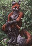 canine forest fox kalahari_(character) kirsch knife male mammal nude solo tree whitediaraikia wood 