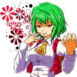  arms_up ascot benishouga_(honhonda) breasts green_hair kazami_yuuka large_breasts looking_at_viewer open_clothes open_vest red_eyes shirt short_hair smirk solo touhou upper_body vest 