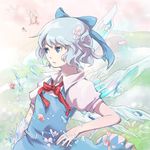 blue_eyes blue_hair cirno dress ice ice_wings lowres petals solo touhou unagi77 wings 