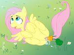  carrots equine evilkey evilkey_(artist) female feral fluttershy_(mlp) friendship_is_magic hair long_hair looking_up mammal masturbation my_little_pony open_mouth pegasus pussy solo tongue wings 