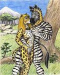  cheetah duo equine feline female interspecies kissing leopard male mammal straight sudonym zebra 
