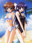  asakura_nemu beach bell bell_collar bikini blue_eyes brown_hair choker collar da_capo da_capo_i day front-tie_top innertube multiple_girls nanao_naru outdoors purple_hair shirakawa_sayaka side-tie_bikini suika_(game) swimsuit 