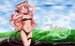  animal_ears bikini cat_ears flat_chest louise_francoise_le_blanc_de_la_valliere solo swimsuit tail wallpaper zero_no_tsukaima 