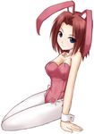  animal_ears artist_request bunny_ears bunnysuit code_geass kallen_stadtfeld leotard pantyhose pink_leotard red_hair short_hair solo 