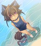  animal_ears artist_request beach borrowed_character bow brown_hair cat_ears collar day kannagi_cocoa one-piece_swimsuit original outdoors red_eyes sand school_swimsuit solo swimsuit tail tan water 
