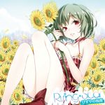 adapted_costume album_cover bare_legs bare_shoulders boots breasts buriki cleavage cover dress flower green_hair kazami_yuuka legs red_eyes short_hair sitting small_breasts smile solo sunflower touhou 