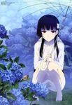  bare_legs barefoot black_hair flower hair_flower hair_ornament highres hime_cut hood hoodie hydrangea long_hair megami official_art red_eyes resized sanka_rea sankarea scan smile snail solo umbrella yoshihara_tatsuya 