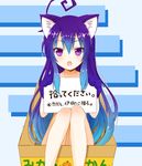  acchi_kocchi ahoge animal_ears bad_id bad_pixiv_id blue_hair box cat_ears for_adoption gloves in_box in_container kisaragi_ichigo long_hair mikan_box miniwa_tsumiki nude open_mouth paw_gloves paws purple_eyes solo translated 