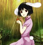  animal_ears bad_id bad_pixiv_id bamboo benetto_(benet) black_hair bunny_ears bunny_tail carrot carrot_necklace inaba_tewi jewelry necklace paw_pose pendant red_eyes short_hair solo tail touhou 