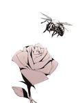  bug copyright_request flower insect monochrome no_humans rose simple_background sousou_(sousouworks) white_background 